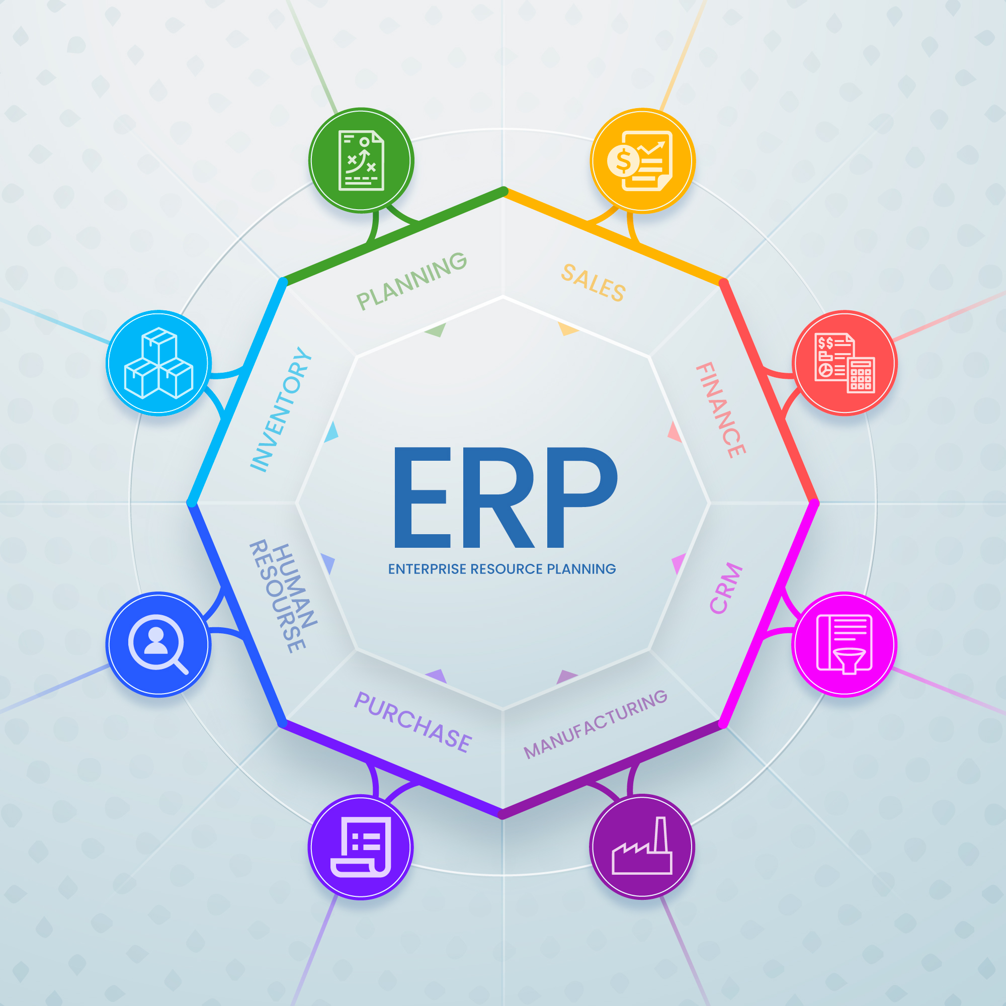 ERP Software Solution