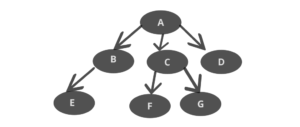 How to implement Tree Data Structure Using Python - CodeWithRonny